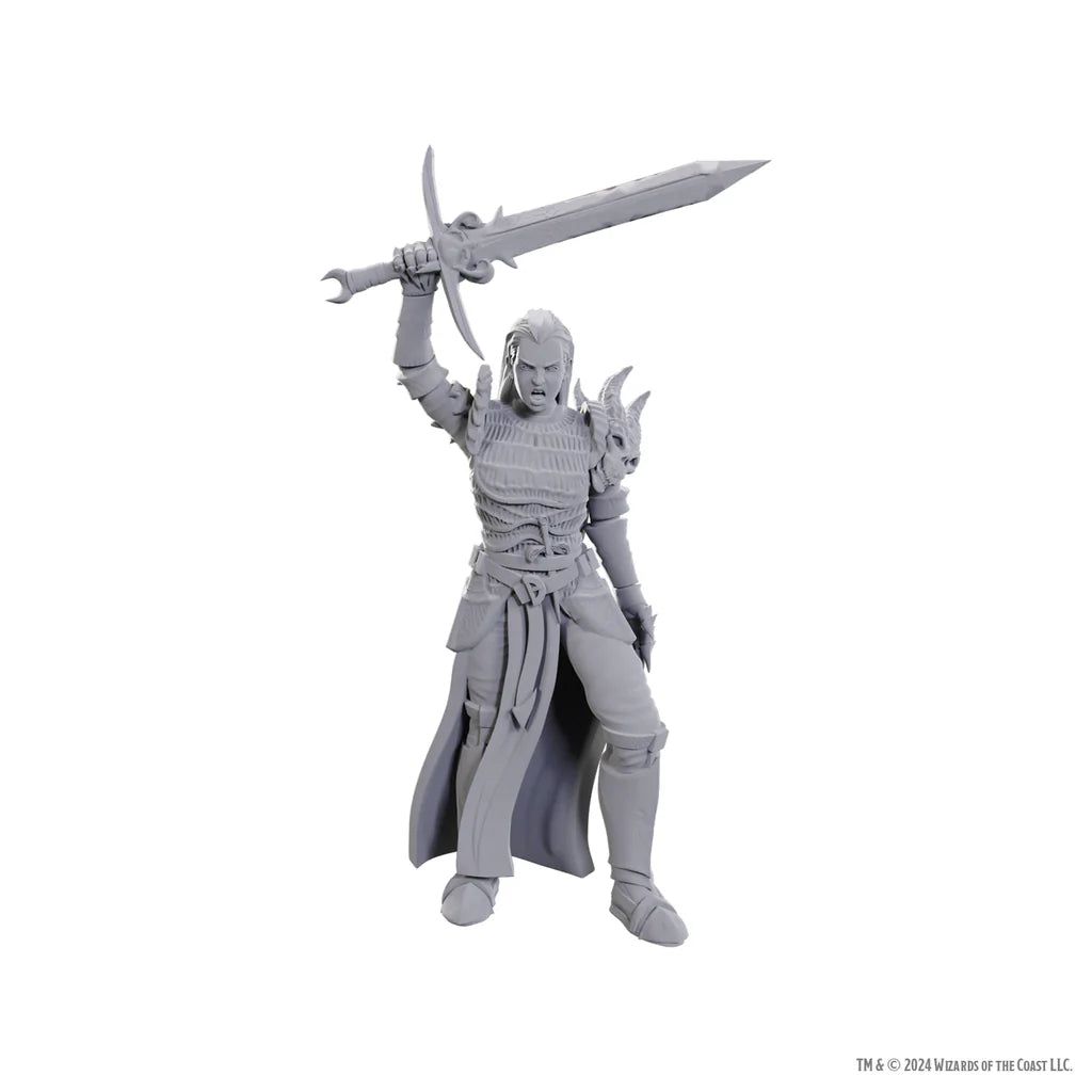 D&D Nolzur`s Marvelous Unpainted Miniatures: W25 Blackguard