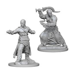 PATHFINDER: DEEP CUTS UNPAINTED MINIATURES -W1-MALE HUMAN MONK