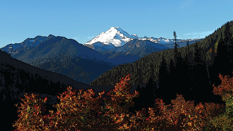 Fall Events Line-Up!
