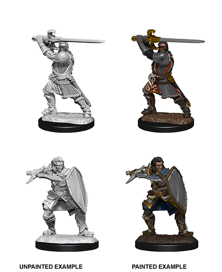 D&D Nolzur`s Marvelous Unpainted Miniatures: W14 Human Paladin Male