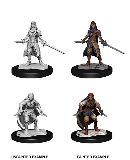 D&D Nolzur`s Marvelous Unpainted Miniatures: W14 Half-Elf Rogue Female