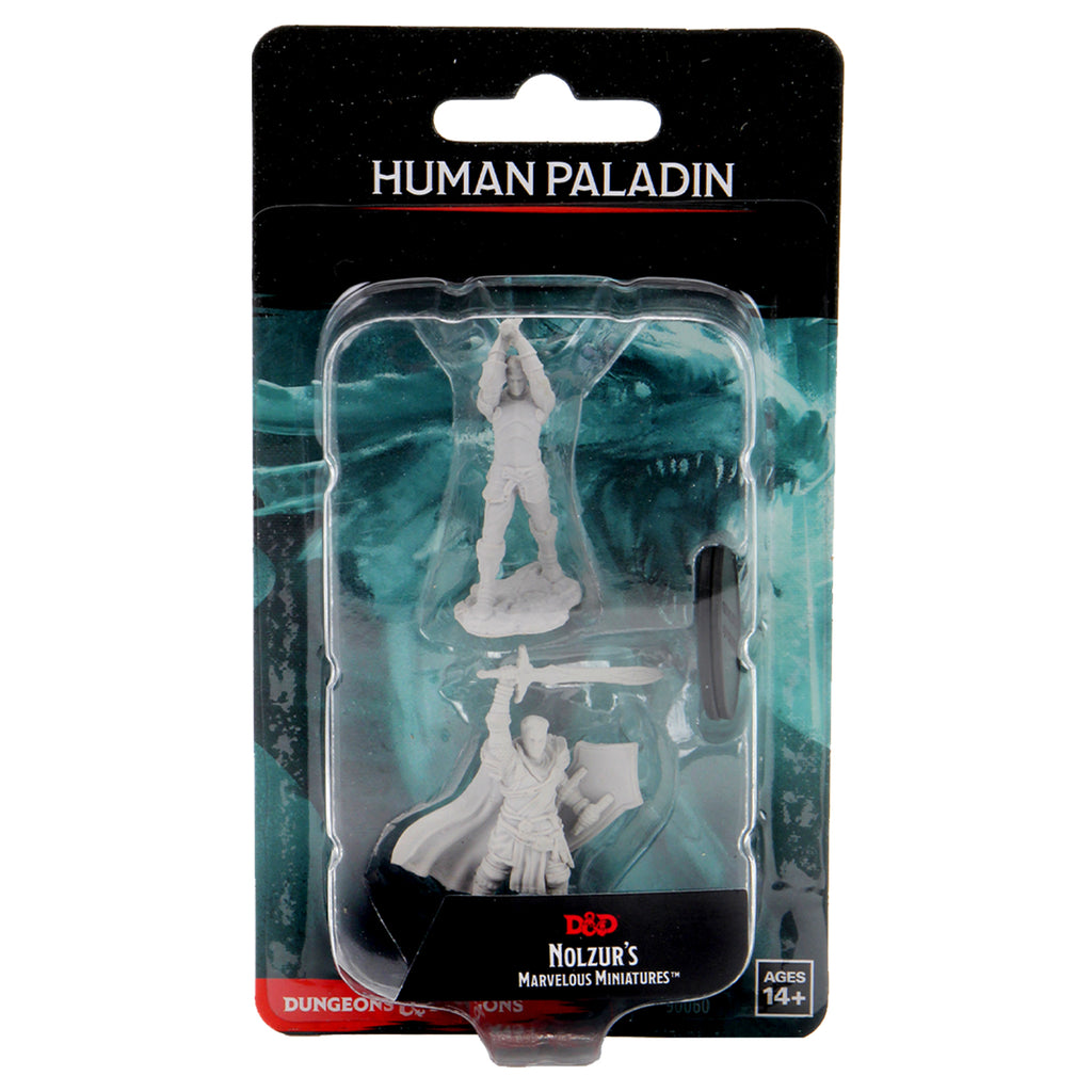 D&D Nolzur`s Marvelous Unpainted Miniatures: W12 Male Human Paladin
