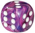 Dm7 Festive Poly Violet/White (7)