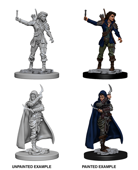 PATHFINDER: DEEP CUTS UNPAINTED MINIATURES -W1-FEMALE HUMAN ROGUE