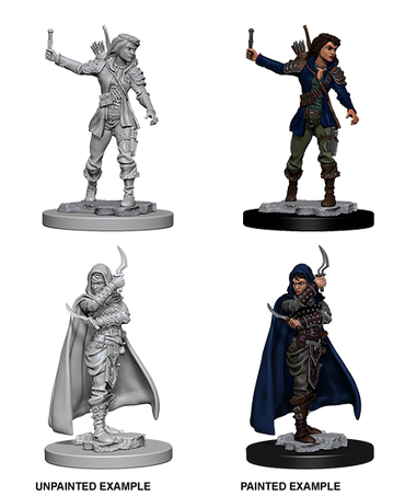 PATHFINDER: DEEP CUTS UNPAINTED MINIATURES -W1-FEMALE HUMAN ROGUE