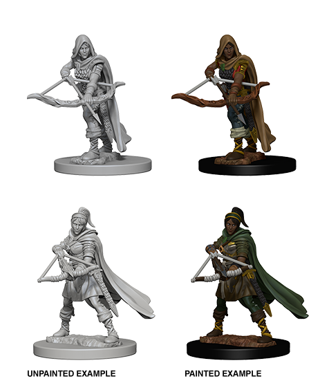 DND Nolzur's Marvelous Miniatures W11 Human Female Monk