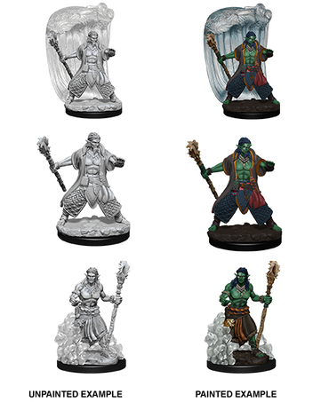 DUNGEONS AND DRAGONS: NOLZUR'S MARVELOUS UNPAINTED MINIATURES -W5-MALE WATERGENASI DRUID