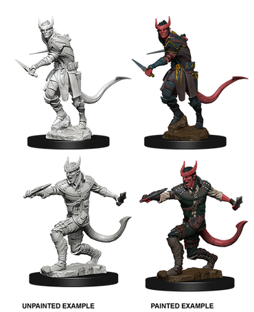 DUNGEONS AND DRAGONS: NOLZUR'S MARVELOUS UNPAINTED MINIATURES -W5-MALE TIEFLING ROGUE