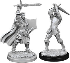 DUNGEONS & DRAGONS NOLZUR`S MARVELOUS UNPAINTED MINIATURES: W12 MALE HUMAN PALADIN