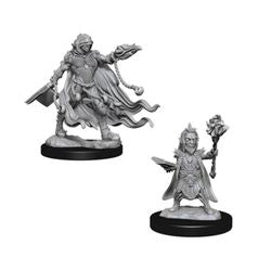 PATHFINDER: DEEP CUTS UNPAINTED MINIATURES -W2-EVIL WIZARDS