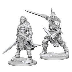 PATHFINDER: DEEP CUTS UNPAINTED MINIATURES -W1-MALE HUMAN FIGHTER