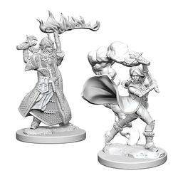 PATHFINDER: DEEP CUTS UNPAINTED MINIATURES -W1-FEMALE HUMAN CLERIC
