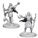 PATHFINDER: DEEP CUTS UNPAINTED MINIATURES -W1-MALE ELF SORCERER