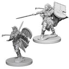 PATHFINDER: DEEP CUTS UNPAINTED MINIATURES -W1-FEMALE HUMAN PALADIN