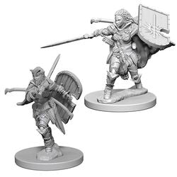 PATHFINDER: DEEP CUTS UNPAINTED MINIATURES -W1-FEMALE HUMAN PALADIN