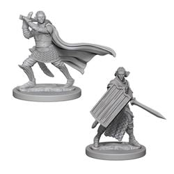 PATHFINDER: DEEP CUTS UNPAINTED MINIATURES -W2-MALE ELF PALADIN