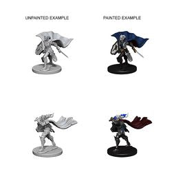 PATHFINDER: DEEP CUTS UNPAINTED MINIATURES -W4-FEMALE ELF PALADIN