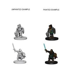DUNGEONS AND DRAGONS: NOLZUR'S MARVELOUS UNPAINTED MINIATURES -W3-FEMALE DWARF PALADIN