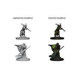 DUNGEONS AND DRAGONS: NOLZUR'S MARVELOUS UNPAINTED MINIATURES -W4-MALE ELF DRUID