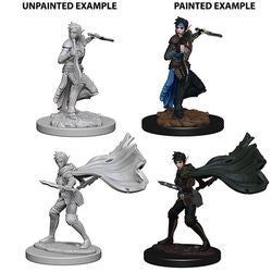 PATHFINDER: DEEP CUTS UNPAINTED MINIATURES -W4-FEMALE ELF ROGUE
