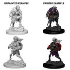 DUNGEONS AND DRAGONS: NOLZUR'S MARVELOUS UNPAINTED MINIATURES -W4-DROW