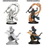 DUNGEONS AND DRAGONS: NOLZUR'S MARVELOUS UNPAINTED MINIATURES -W4-MALE TIEFLING SORCERER