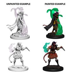 DUNGEONS AND DRAGONS: NOLZUR'S MARVELOUS UNPAINTED MINIATURES -W4-FEMALE TIEFLING SORCERER