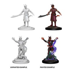 DUNGEONS AND DRAGONS: NOLZUR'S MARVELOUS UNPAINTED MINIATURES -W6-MALE TIEFLING WARLOCK