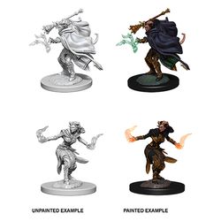 DUNGEONS AND DRAGONS: NOLZUR'S MARVELOUS UNPAINTED MINIATURES -W6-FEMALE TIEFLING WARLOCK