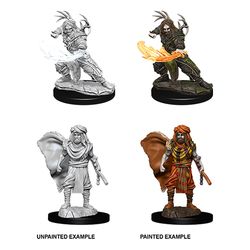 DUNGEONS AND DRAGONS: NOLZUR'S MARVELOUS UNPAINTED MINIATURES -W6-MALE HUMAN DRUID