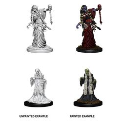 DUNGEONS AND DRAGONS: NOLZUR'S MARVELOUS UNPAINTED MINIATURES -W6-GREEN HAG AND NIGHT HAG