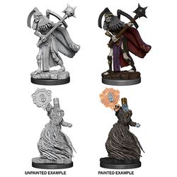 PATHFINDER: DEEP CUTS UNPAINTED MINIATURES -W6-LICHES