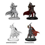 PATHFINDER: DEEP CUTS UNPAINTED MINIATURES -W6-FEMALE KNIGHTS