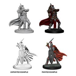 PATHFINDER: DEEP CUTS UNPAINTED MINIATURES -W6-FEMALE KNIGHTS