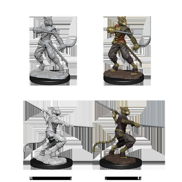DUNGEONS AND DRAGONS: NOLZUR'S MARVELOUS UNPAINTED MINIATURES -W7-MALE TABAXI ROGUE