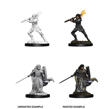 DUNGEONS AND DRAGONS: NOLZUR'S MARVELOUS UNPAINTED MINIATURES -W10-FEMALE HUMAN PALADIN