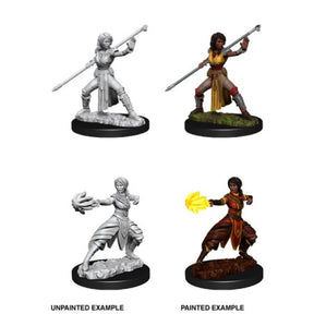 DUNGEONS AND DRAGONS: NOLZUR'S MARVELOUS UNPAINTED MINIATURES -W10-FEMALE HALFELF MONK