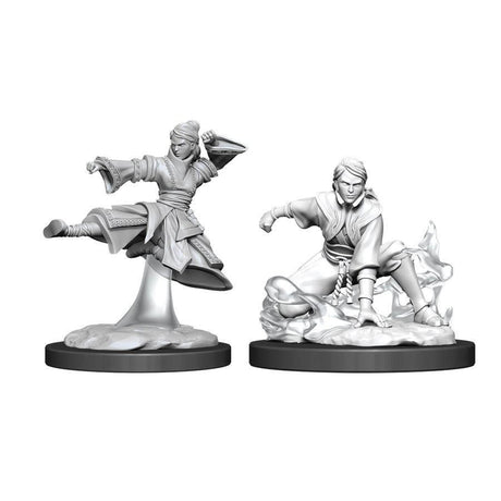 DUNGEONS AND DRAGONS: NOLZUR'S MARVELOUS UNPAINTED MINIATURES -W11-FEMALE HUMAN MONK