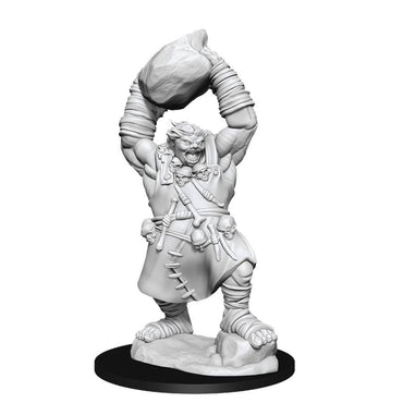 PATHFINDER: DEEP CUTS UNPAINTED MINIATURES -W11-OGRE